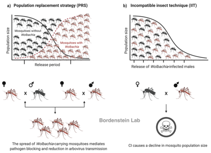 Parasitic symbiotic relationships