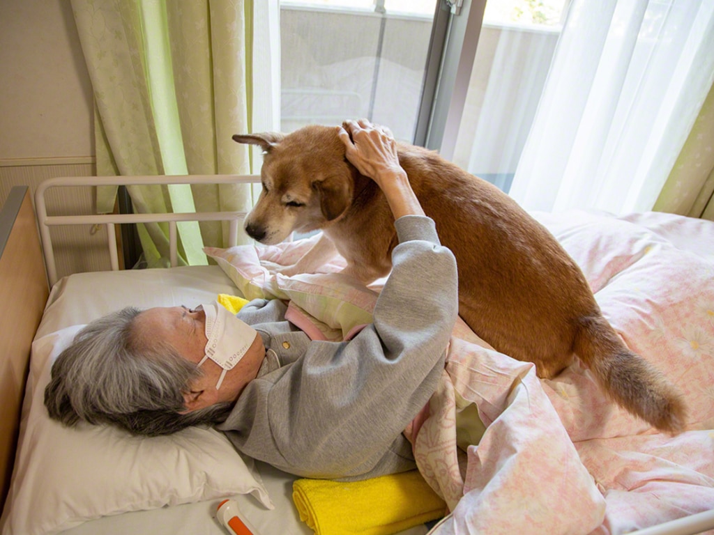 old_person_with_dog
