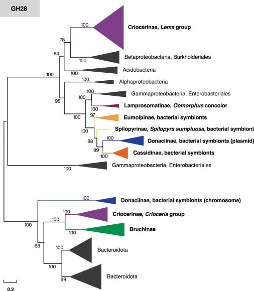 Symbiont_transmission 