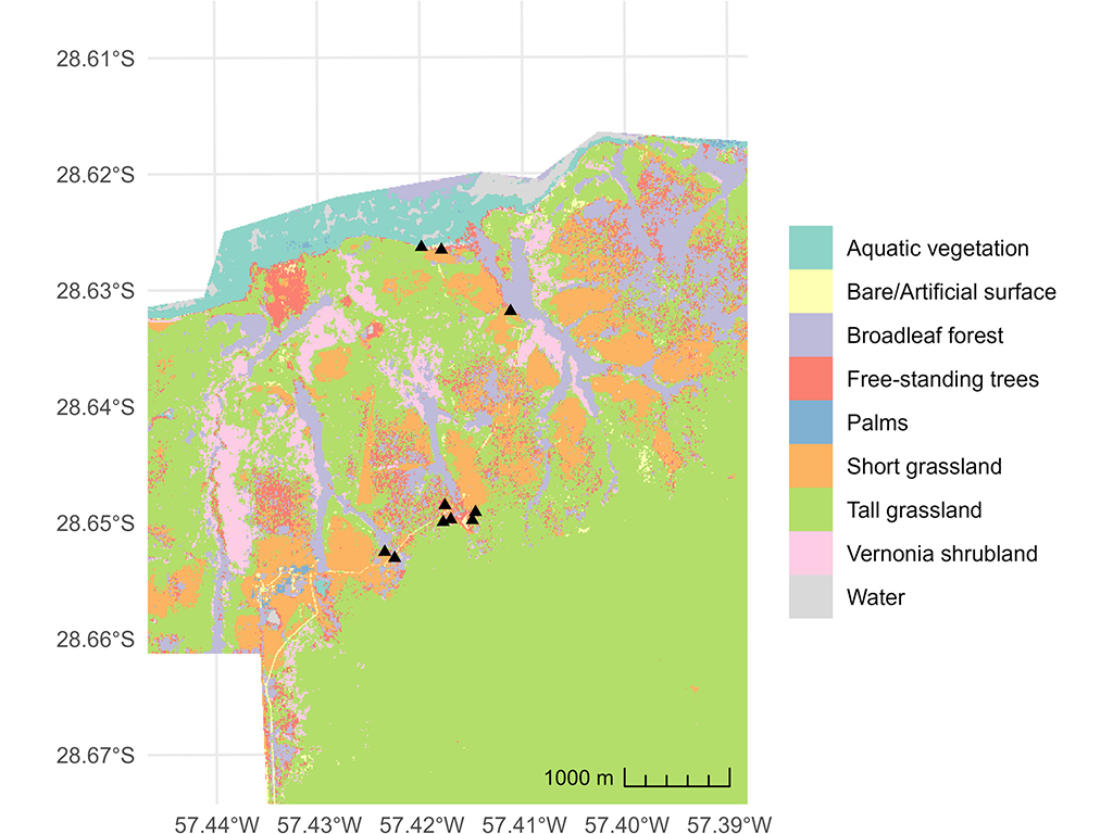 vegetation_types