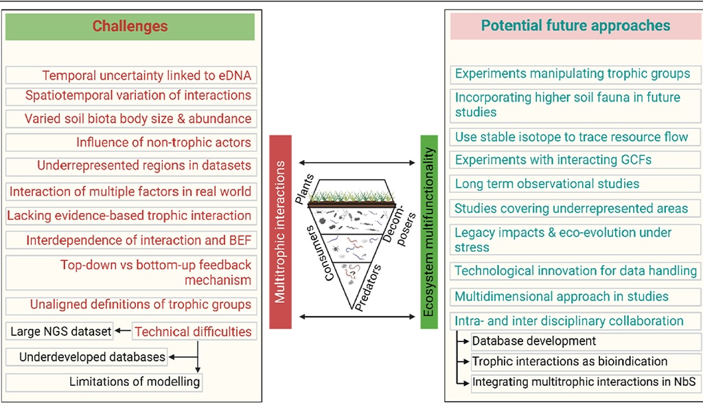 Challenges and potential